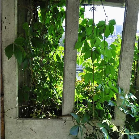 Haus Panorama Отель 2*