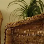 هاوس بانوراما 2*