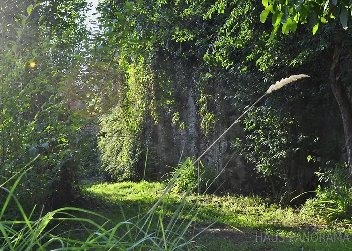 Hotel Haus Panorama Passau